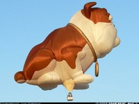 Montgolfières incroyables (22)