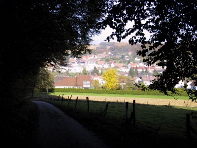 Vue vers Waldighoffen depuis la forêt