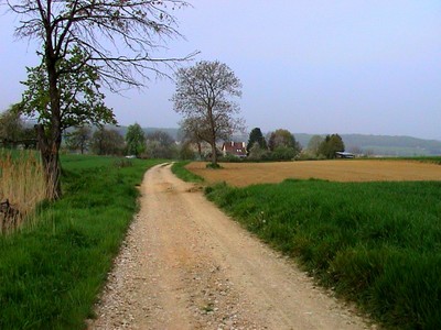 Chemin sur les hauteurs de Waldighoffen vers Oberdorf