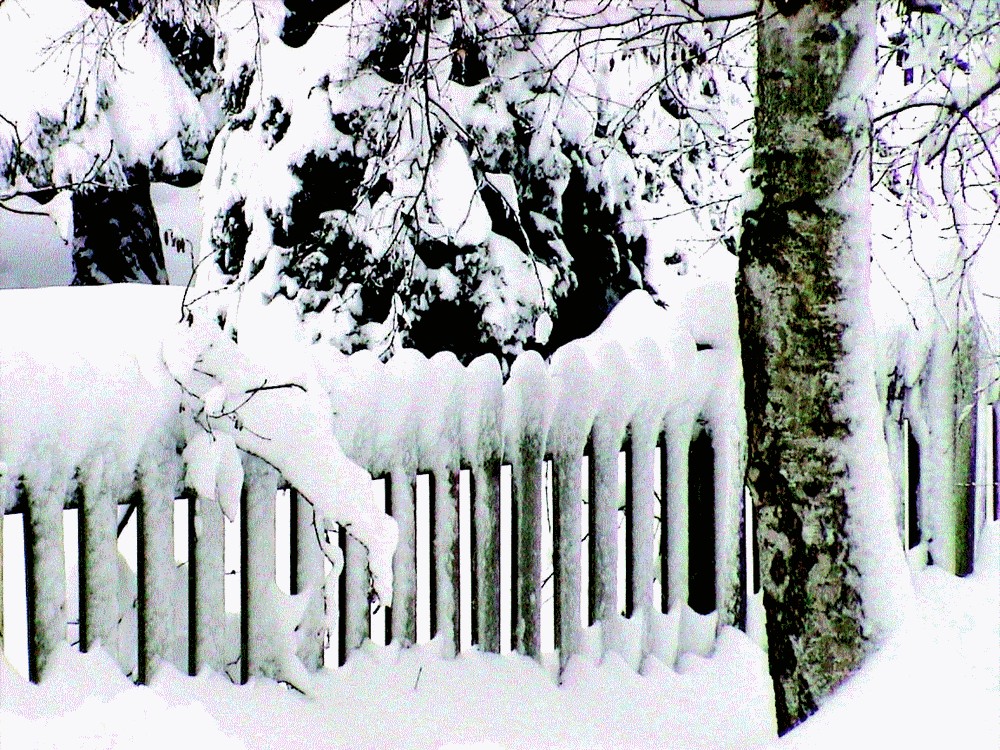 Mars 2006-la barrière dans la neige