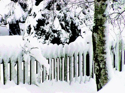 Mars 2006-la barrière dans la neige