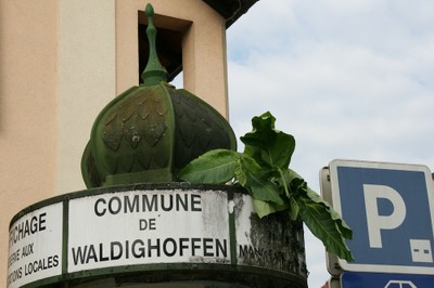 Plant de tabac sur la colonne Maurice de Waldighoffen