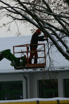 Elagage des arbres à Waldighoffen