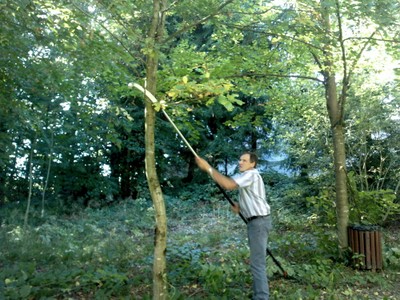 Taille d'arbre autour du réservoir de la rue de Ferrette - Philippe