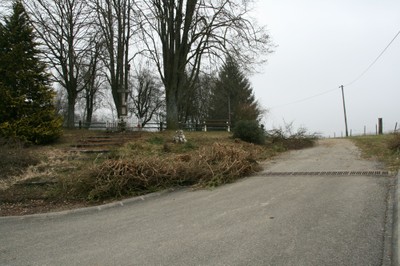 Elagage au Sonnenglantz