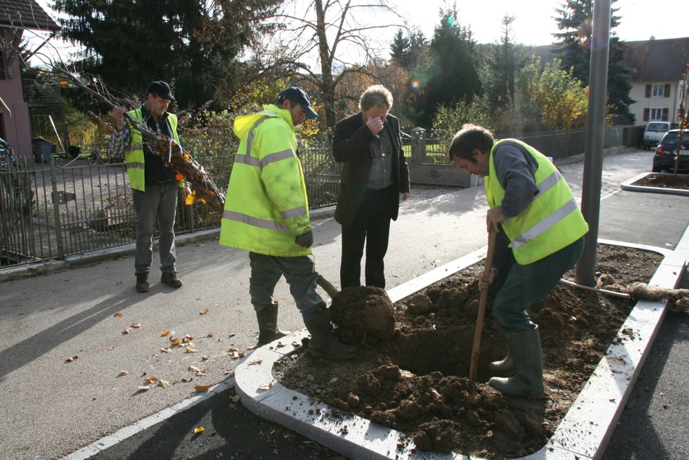 Installation d'un arbre à Waldighoffen - ouvriers et l'Adjoint