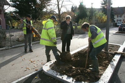 Installation d'un arbre à Waldighoffen - ouvriers et l'Adjoint