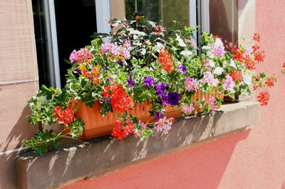 Jardinière à la Mairie de Waldighoffen