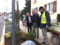 Voici monsieur Eggenspieler, monsieur Hoff et monsieur Schmidlin en train de discuter des nouvelles plantations de la rue du 19 novembre à Waldighoffen.