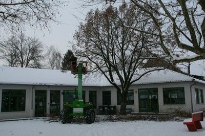 Les travaux d'élagage à Waldighoffen