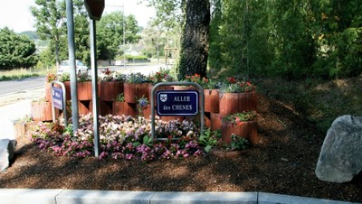 Massif fleuri allée des chênes à Waldighoffen
