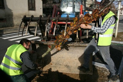 Pascal et Philippe pendant l'installation d'un arbre à Waldighoffen