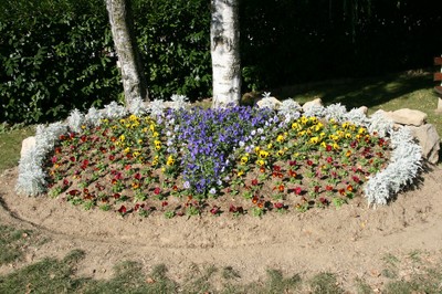 Pensées motif en V au cimetière