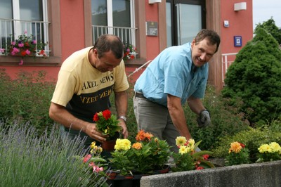 Philippe et Pascal en train de planter les dahlias devant la Mairie de Waldighoffen
