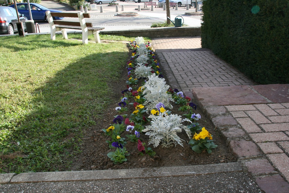 Plantations à côté de l'église