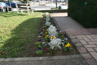 Plantations à côté de l'église