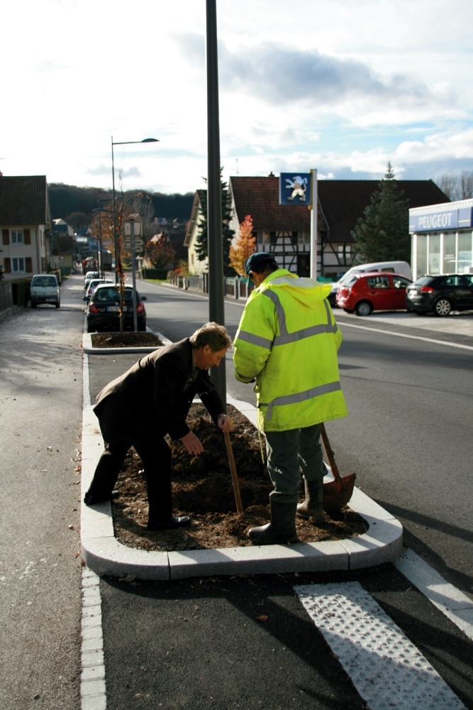 Préparation du trou pour l'arbre à Waldighoffen
