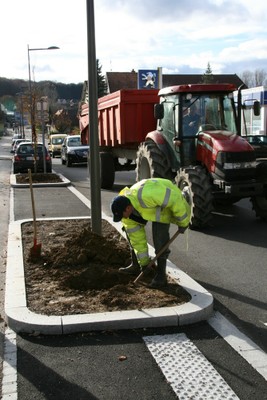 Préparation du trou pour l'arbre à Waldighoffen - Christian