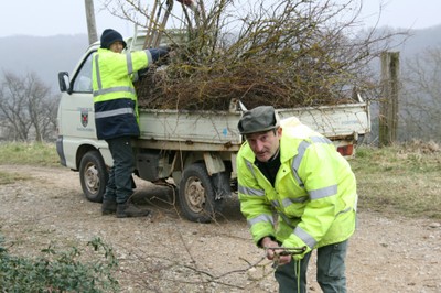 Ramassage de branches après élagage au Sonnenglantz