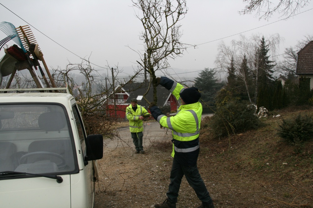 Ramassage de branches après élagage