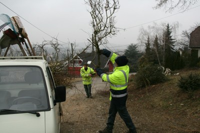 Ramassage de branches après élagage