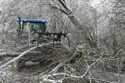 Ramassage d'énormes branches à Waldighoffen