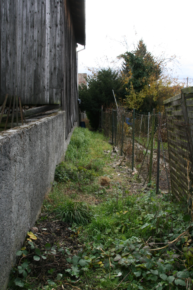 Sentier rue de Bâle à Waldighoffen le 4 novembre 2010 - 1
