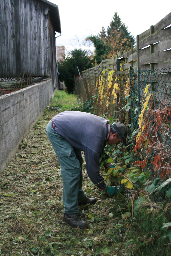 Sentier rue de Bâle à Waldighoffen le 4 novembre 2010 - 2