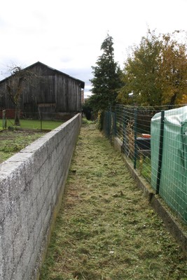 Sentier rue de Bâle à Waldighoffen le 4 novembre 2010