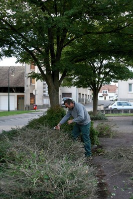 Taille des arbustes au site Lang le 27 septembre 2010 - Pascal