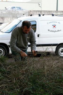 Pascal taille Site Lang le 27 septembre 2010