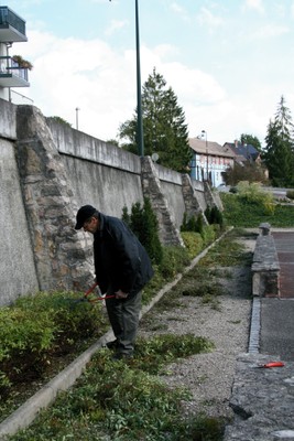 Taille des arbustes au site Lang le 27 septembre 2010 - Philippe