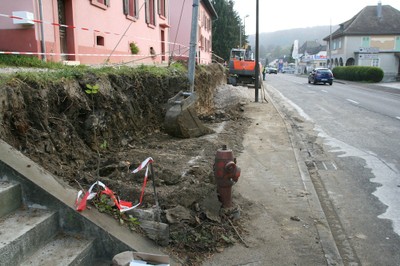 Thuyas arrachés rue du Maréchal Joffre