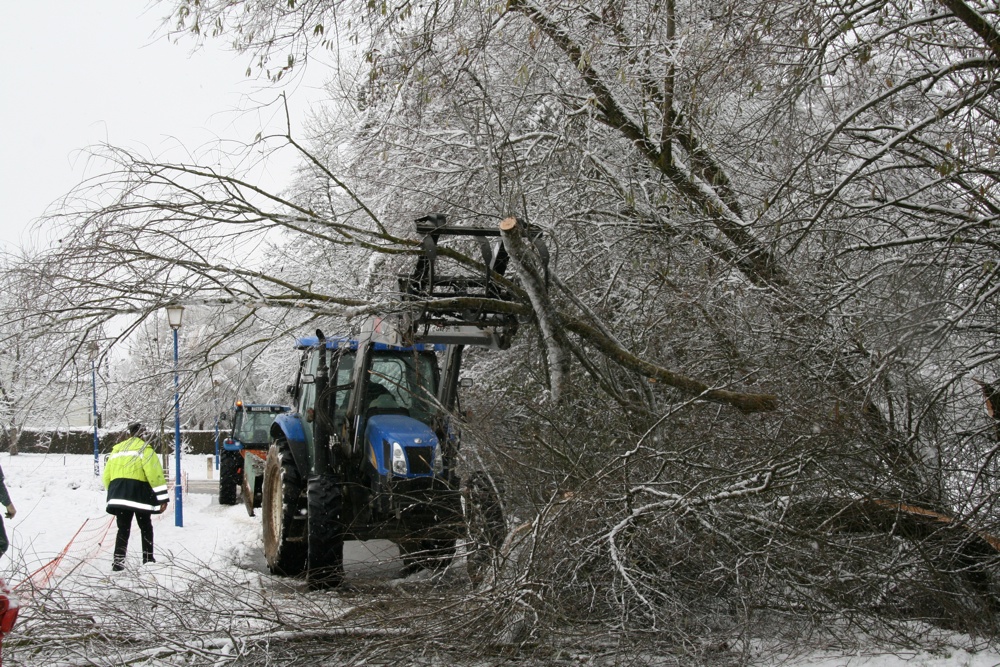 Un tracteur retire les branches de l'arbre tombé à Waldighoffen