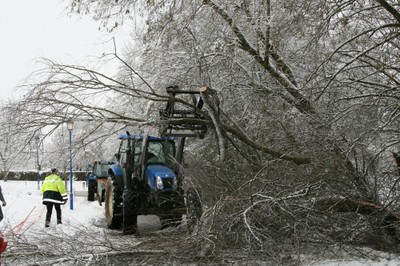 Un tracteur retire les branches de l'arbre tombé à Waldighoffen