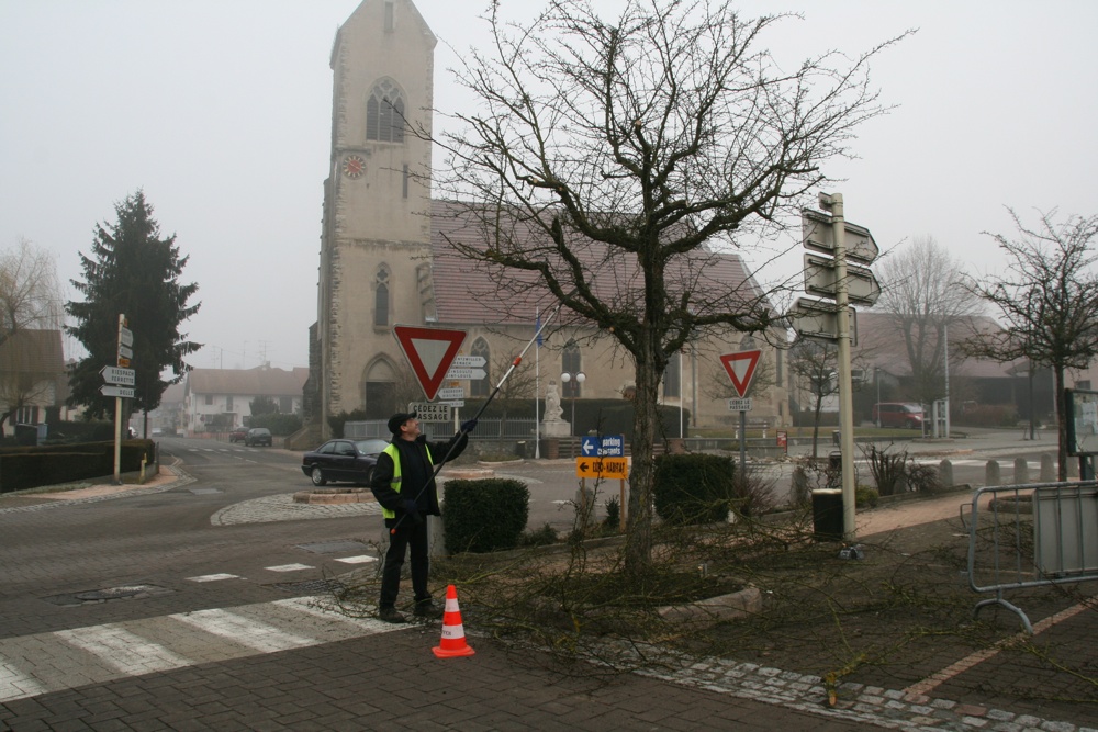 Travaux d'élagage sur la place de la Mairie de waldighoffen