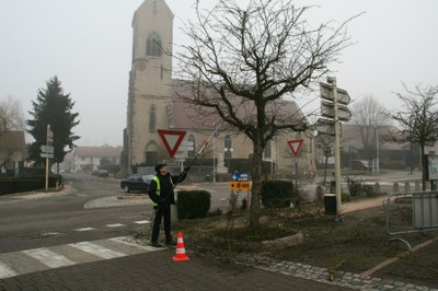 Travaux d'élagage sur la place de la Mairie de waldighoffen