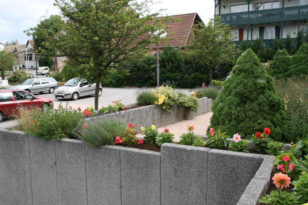Vue de la Poste des dahlias plantés à Waldighoffen