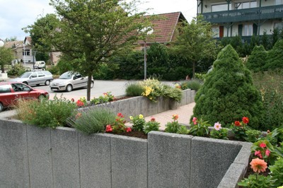 Vue de la Poste des dahlias plantés à Waldighoffen