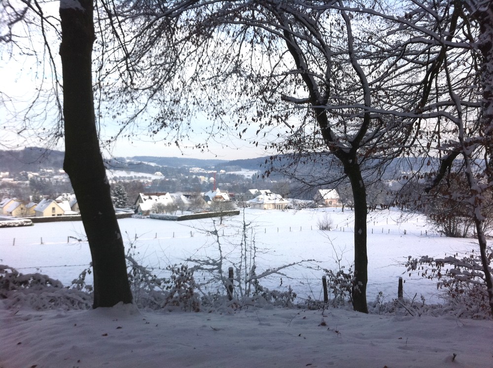 Au loin, la rue des Ecureuils