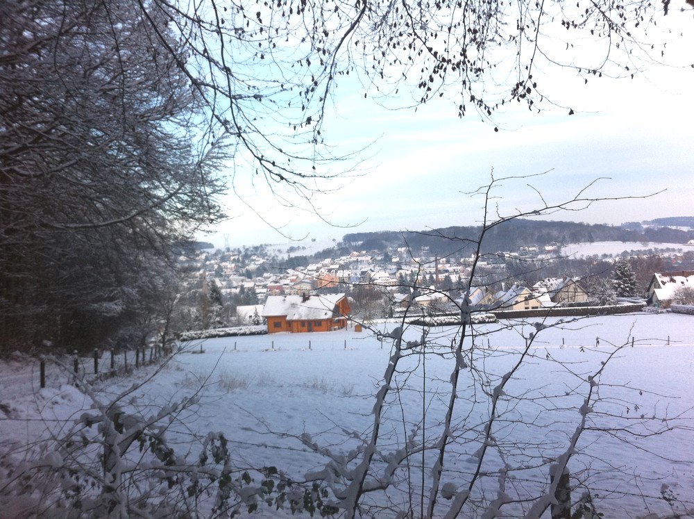 Vue sur le village, au 1er plan la rue des Ecureuils