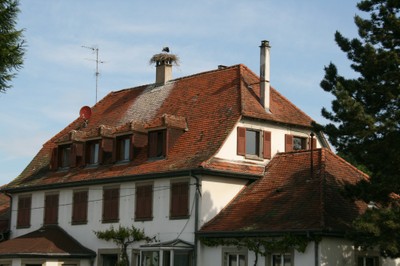 Bâtiment ACS avec la cigogne