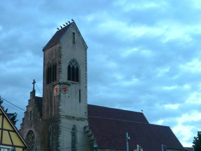6 cigognes sur le toit de l&rsquo;église de Waldighoffen