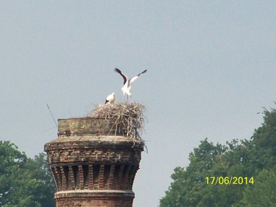 Essai ailes 17 juin 14